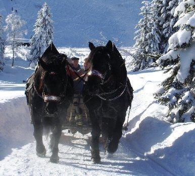 Hotel Oxa Hittisau Zewnętrze zdjęcie