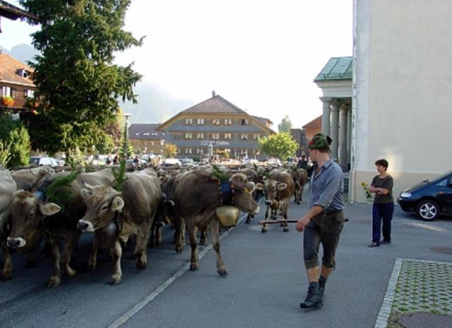 Hotel Oxa Hittisau Zewnętrze zdjęcie
