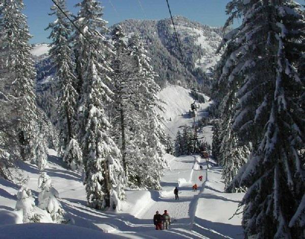 Hotel Oxa Hittisau Zewnętrze zdjęcie